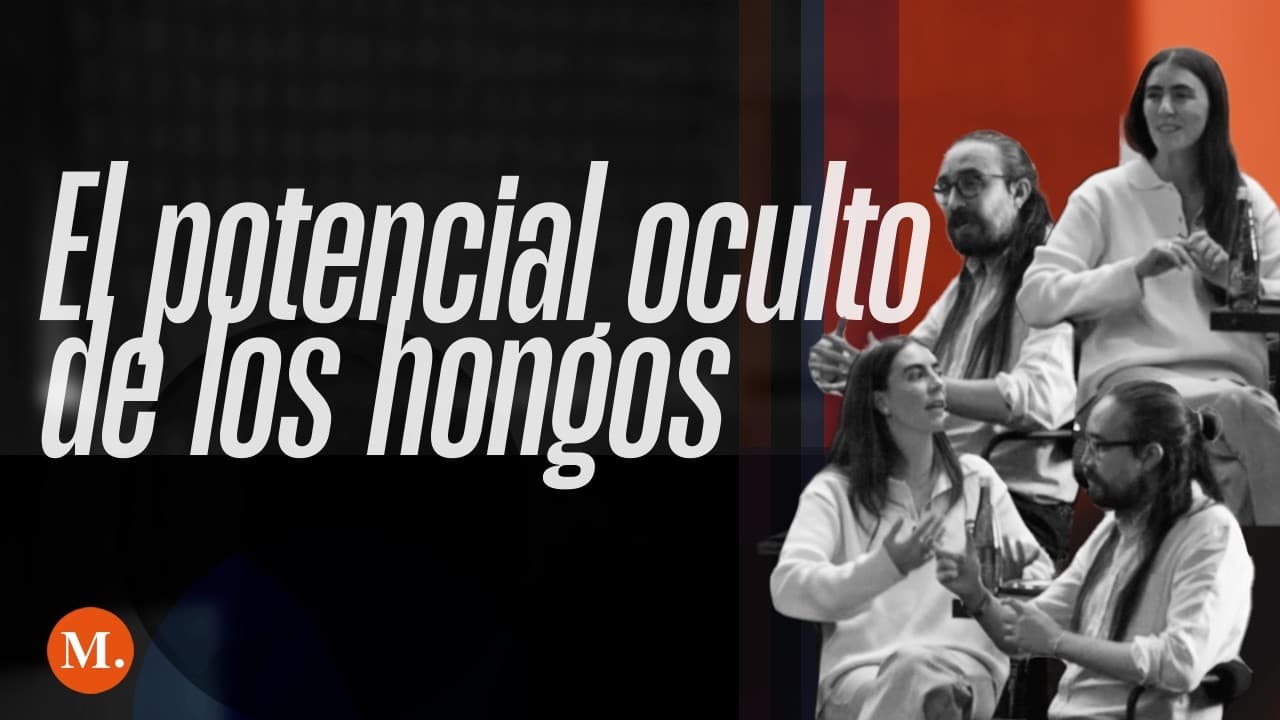 Psilocibina: entre la ciencia y el espíritu
